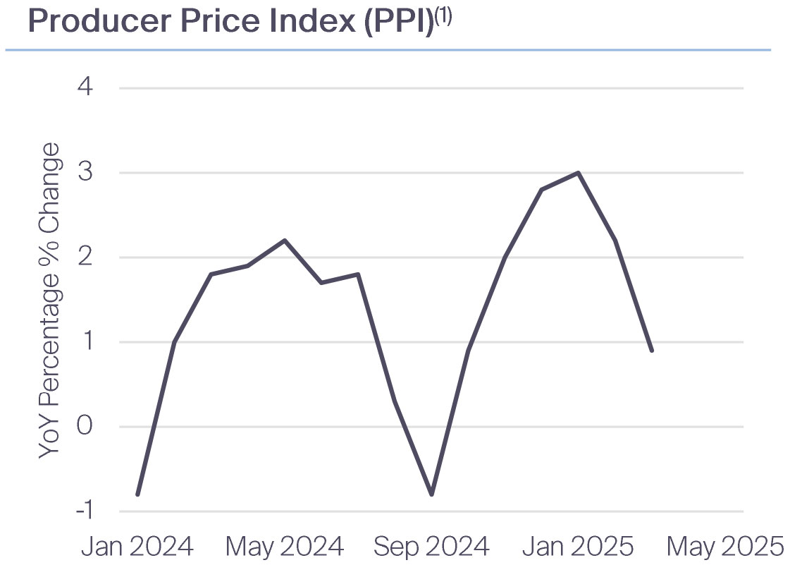 Producer Price Index (PPI)